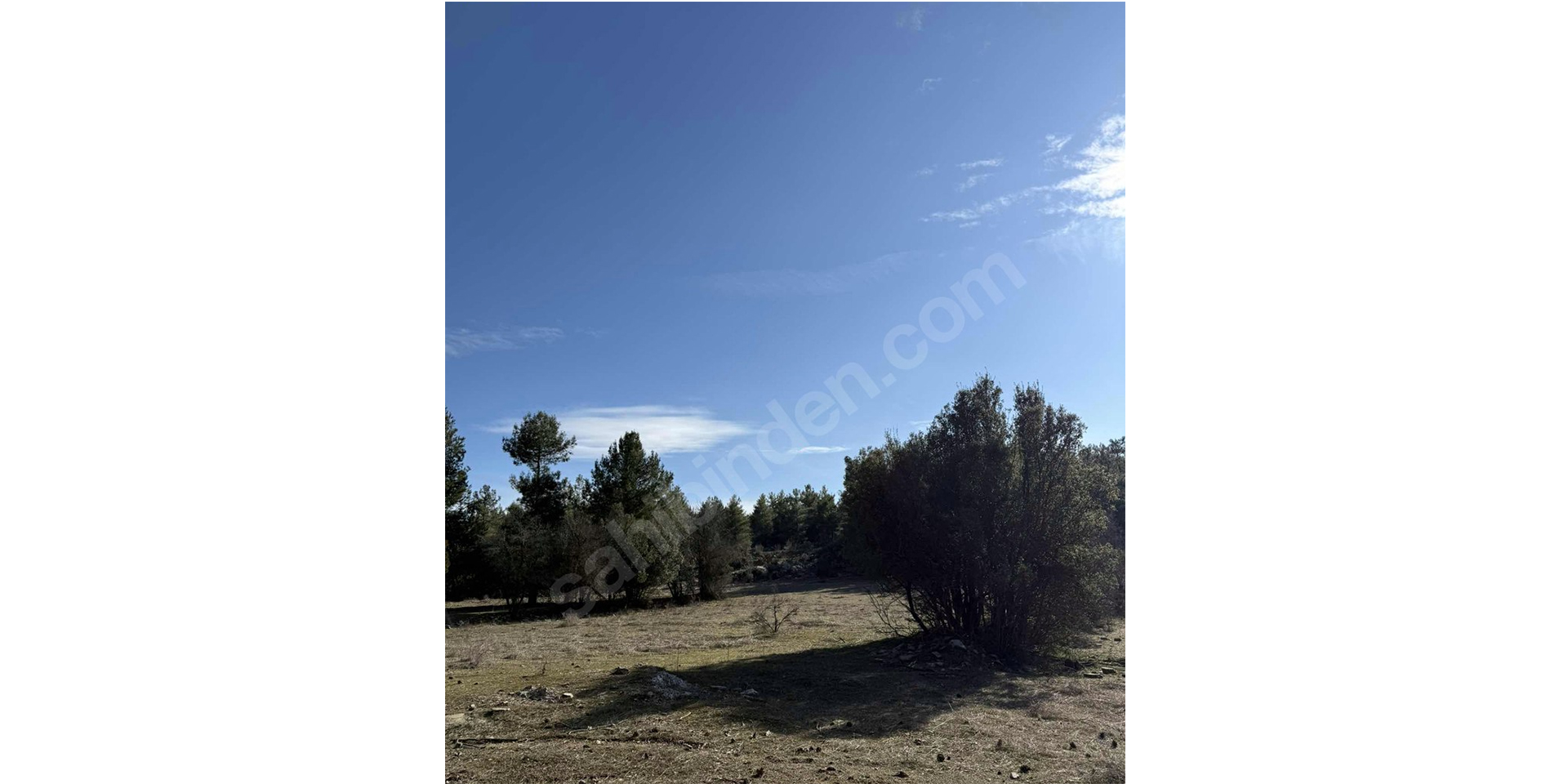 satilik_ilan_detay_3_3